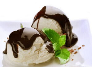 零元加盟費(fèi)，冰雪精靈冰淇淋創(chuàng)業(yè)指南 如何以零成本啟動(dòng)并掌握核心技術(shù)